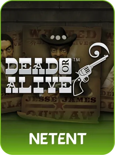 Dead or Alive 2 Feature Buy by NetEnt - game cover artwork on KIXO9