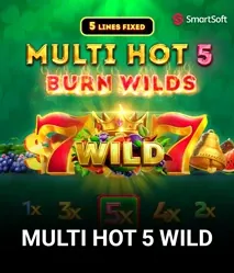 Multi Hot 5 Wild by Smartsoft - game cover artwork on KIXO9