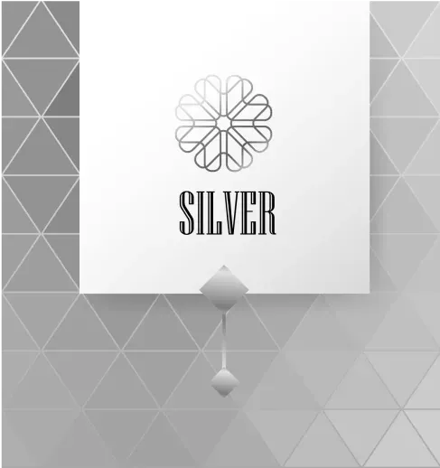 KIXO9 Silver loyalty membership card